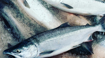 When is Copper River Sockeye Salmon caught?